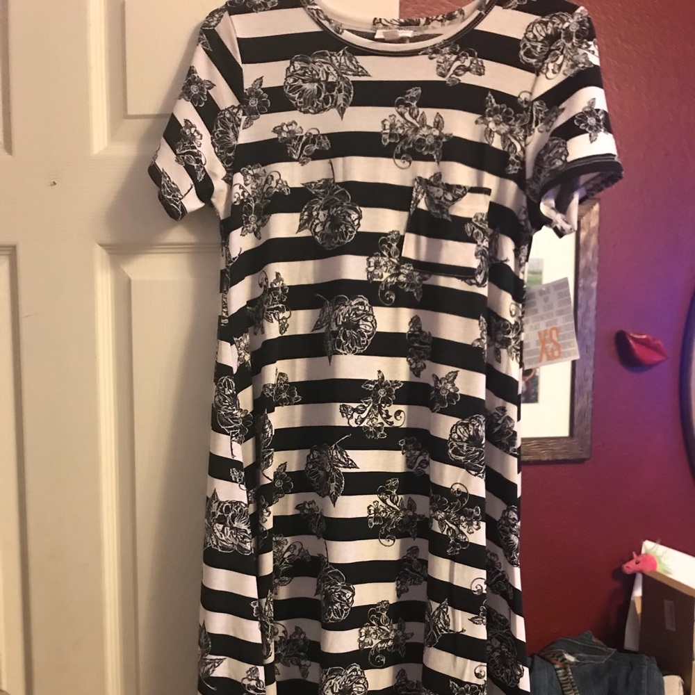 LuLaRoe unicorn floral/striped Carly dress